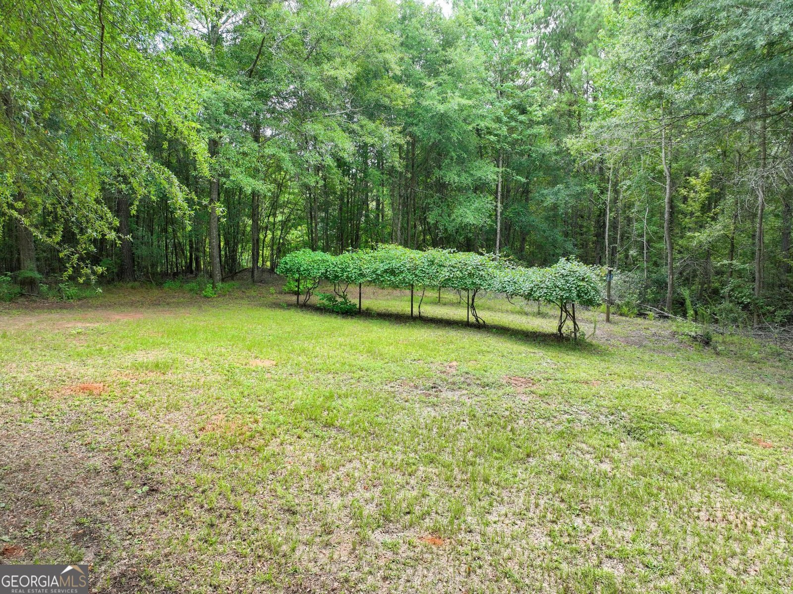 350 Harp Road Thomaston - Photo 96