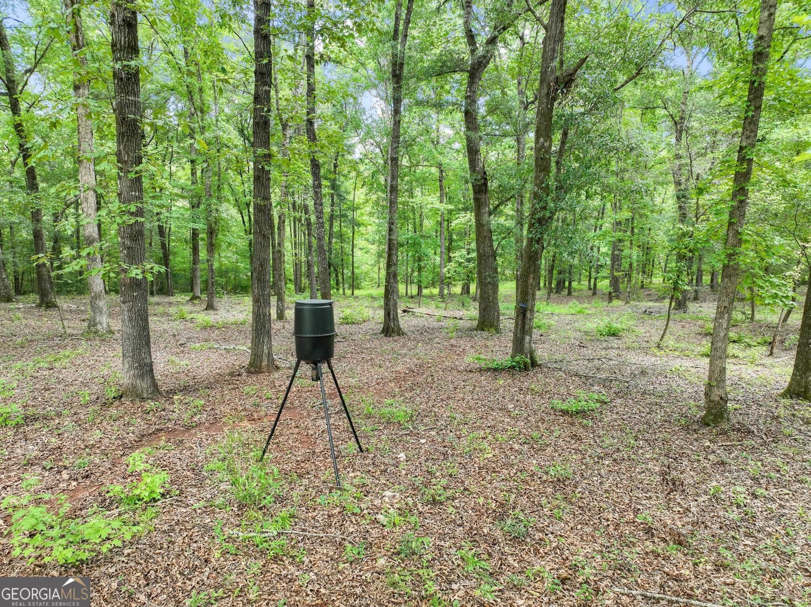 350 Harp Road Thomaston - Photo 99