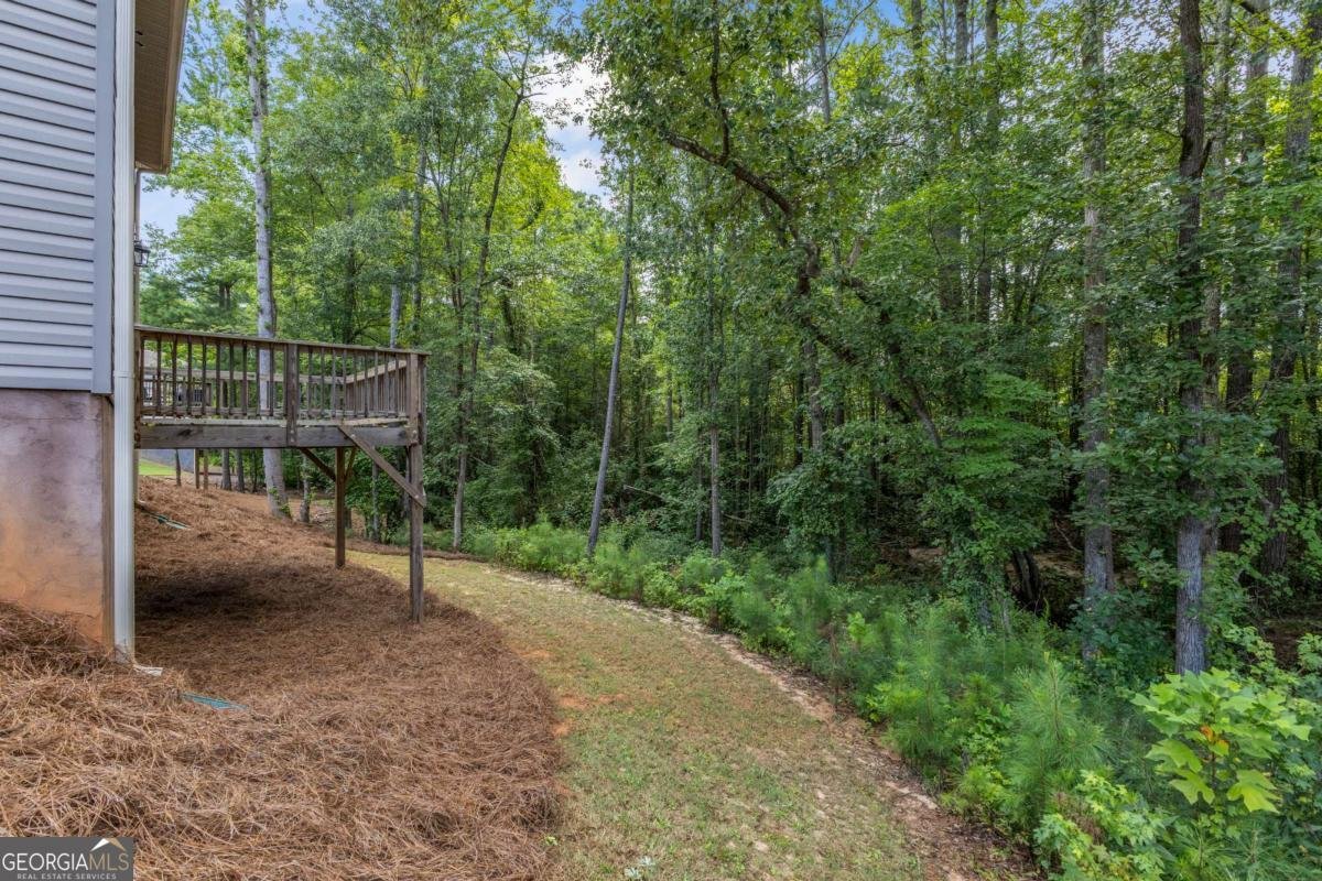 192 Amidon Drive Villa Rica - Photo 44
