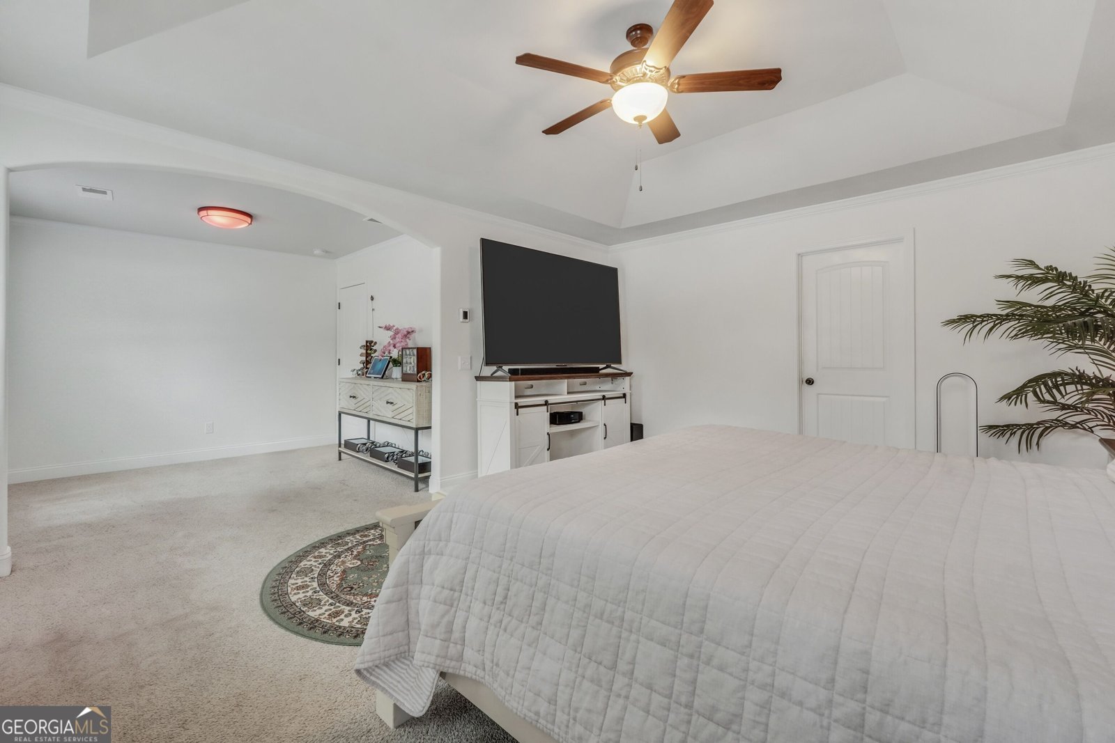 202 Jackson Lake Road McDonough - Photo 25