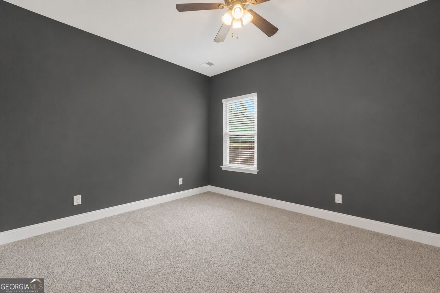 202 Jackson Lake Road McDonough - Photo 33