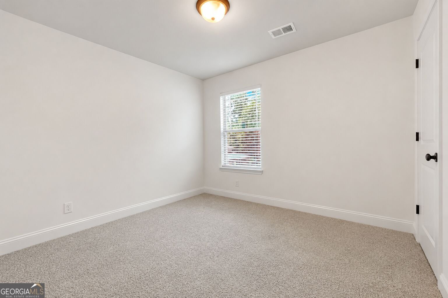 202 Jackson Lake Road McDonough - Photo 40