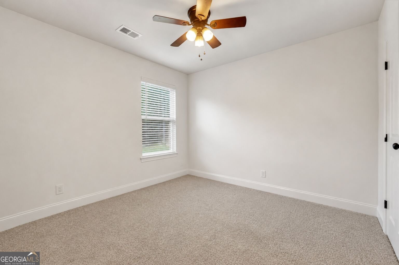 202 Jackson Lake Road McDonough - Photo 46