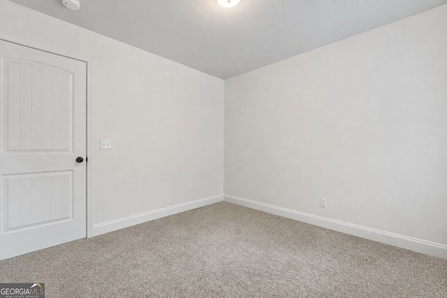 202 Jackson Lake Road McDonough - Photo 47