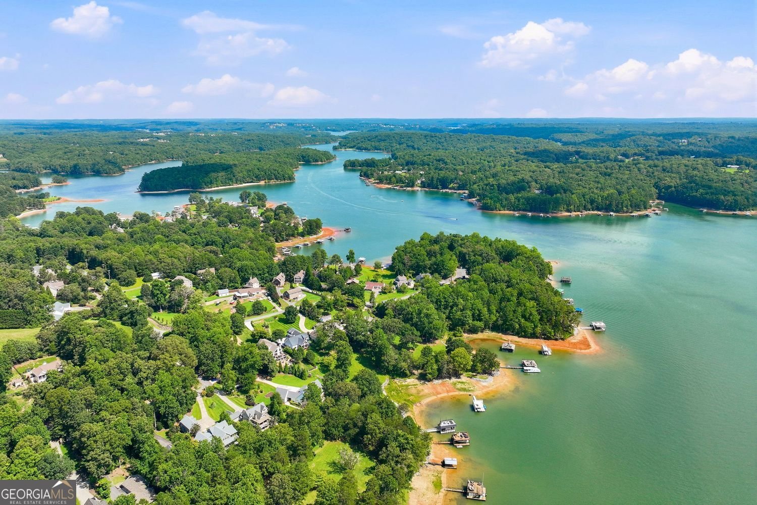 53 Winterhawk Cove Dawsonville - Photo 93