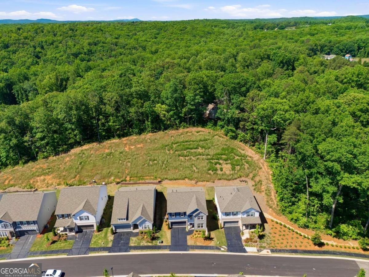 188 Foxhill Drive Dawsonville - Photo 26