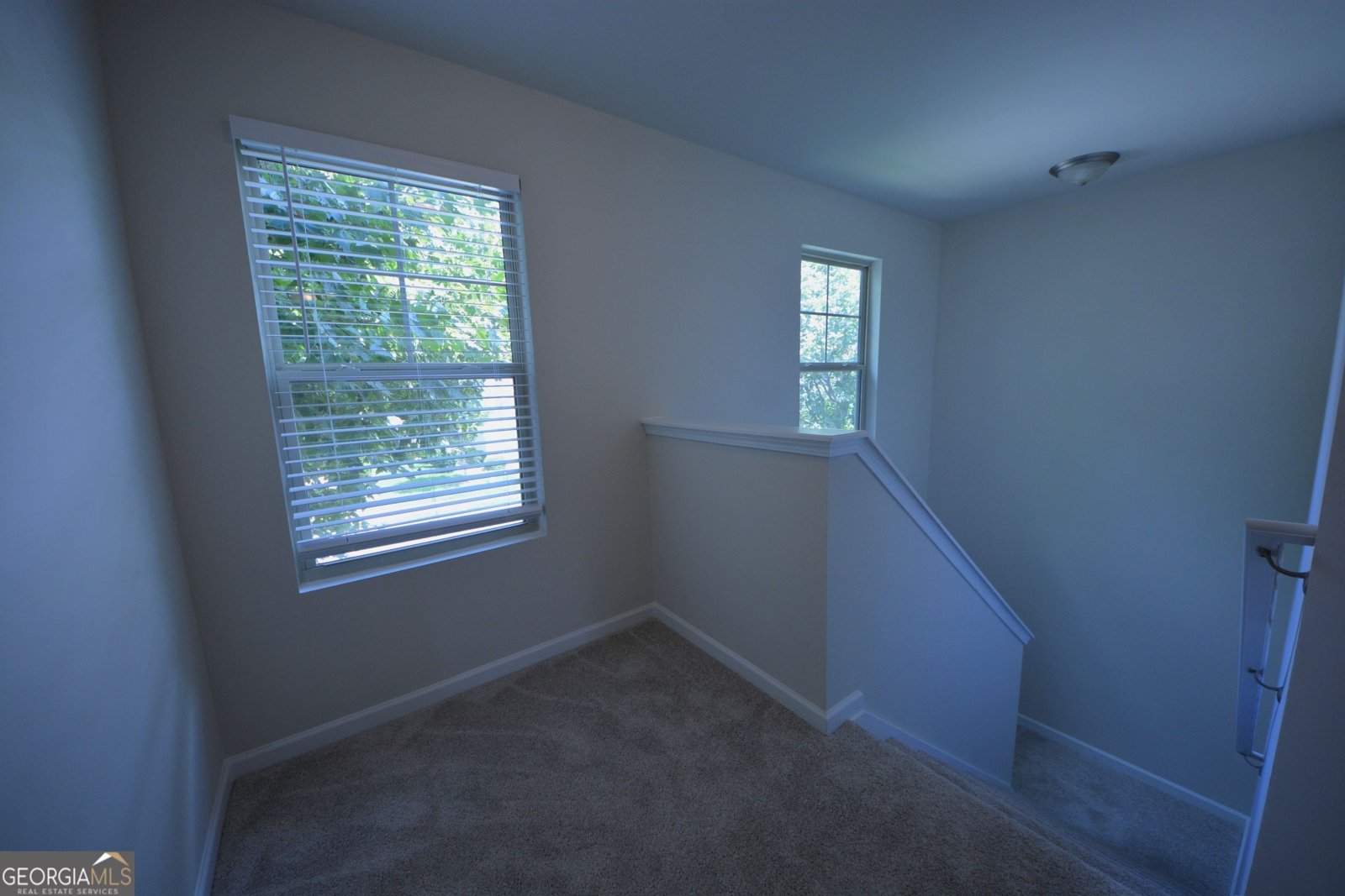 167 Daisy Circle McDonough - Photo 24