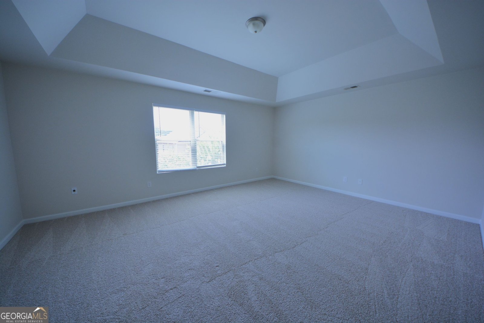 167 Daisy Circle McDonough - Photo 26
