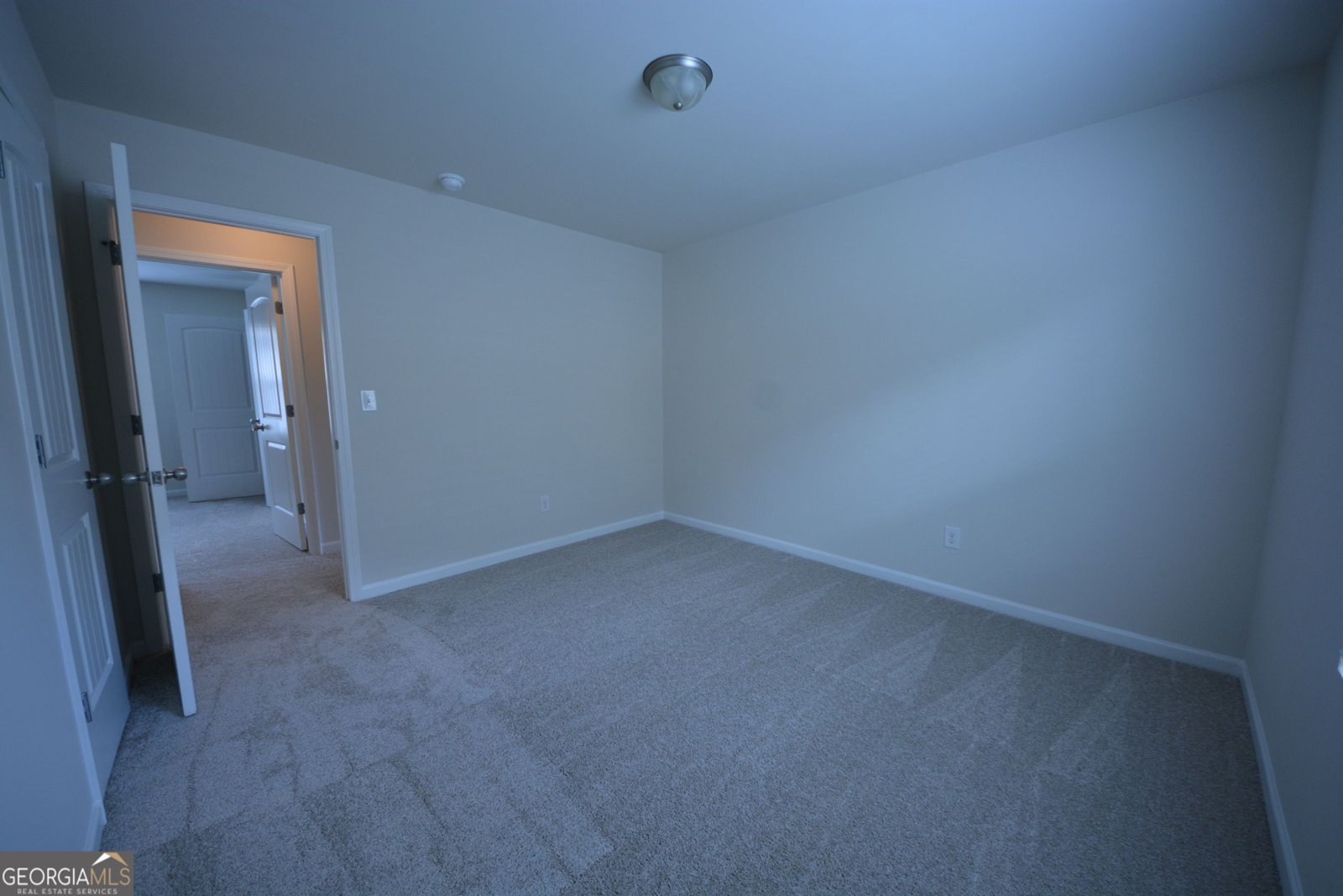 167 Daisy Circle McDonough - Photo 33
