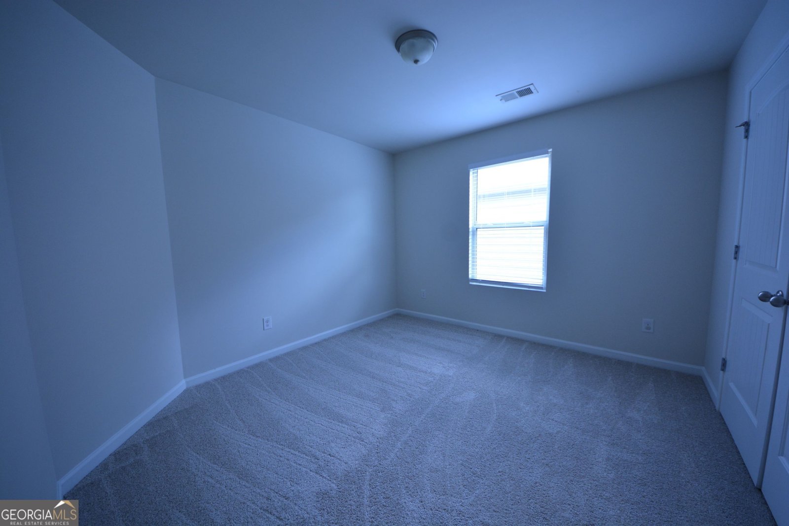 167 Daisy Circle McDonough - Photo 37