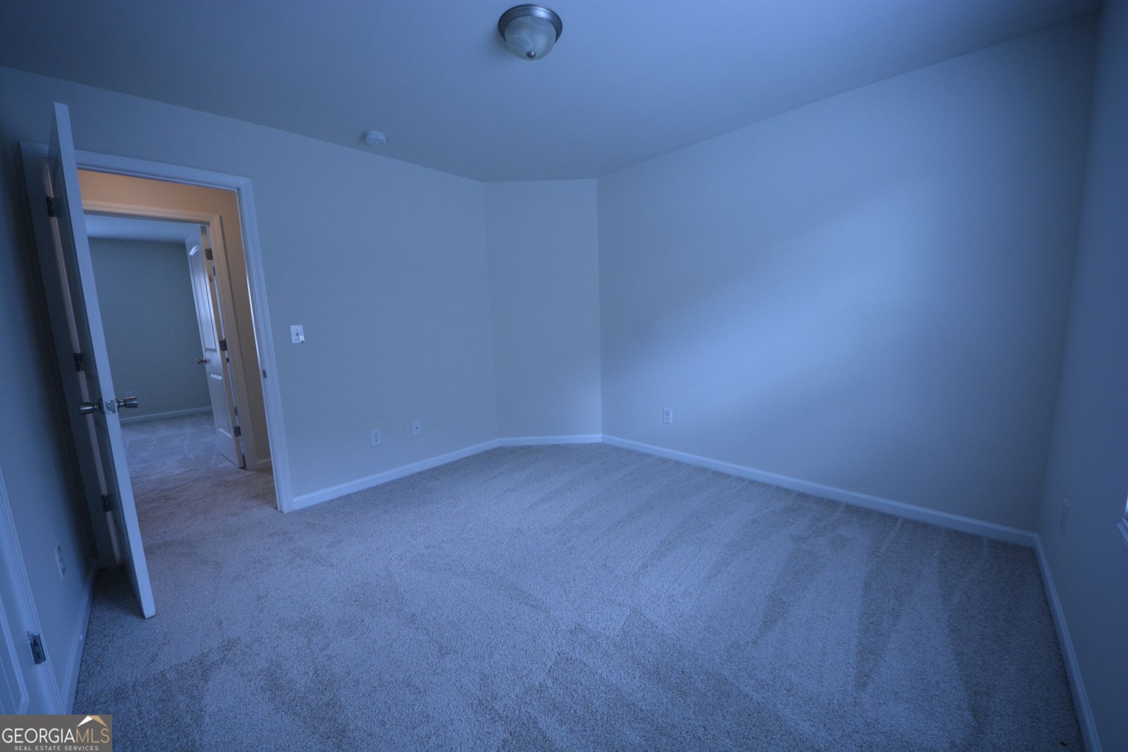 167 Daisy Circle McDonough - Photo 38