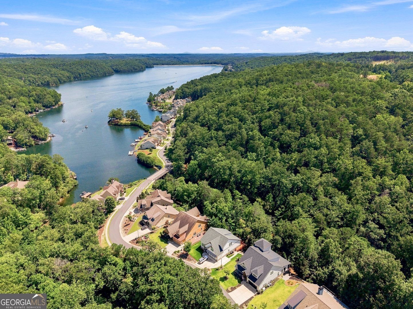 110 Sunset Peak Court Waleska - Photo 51