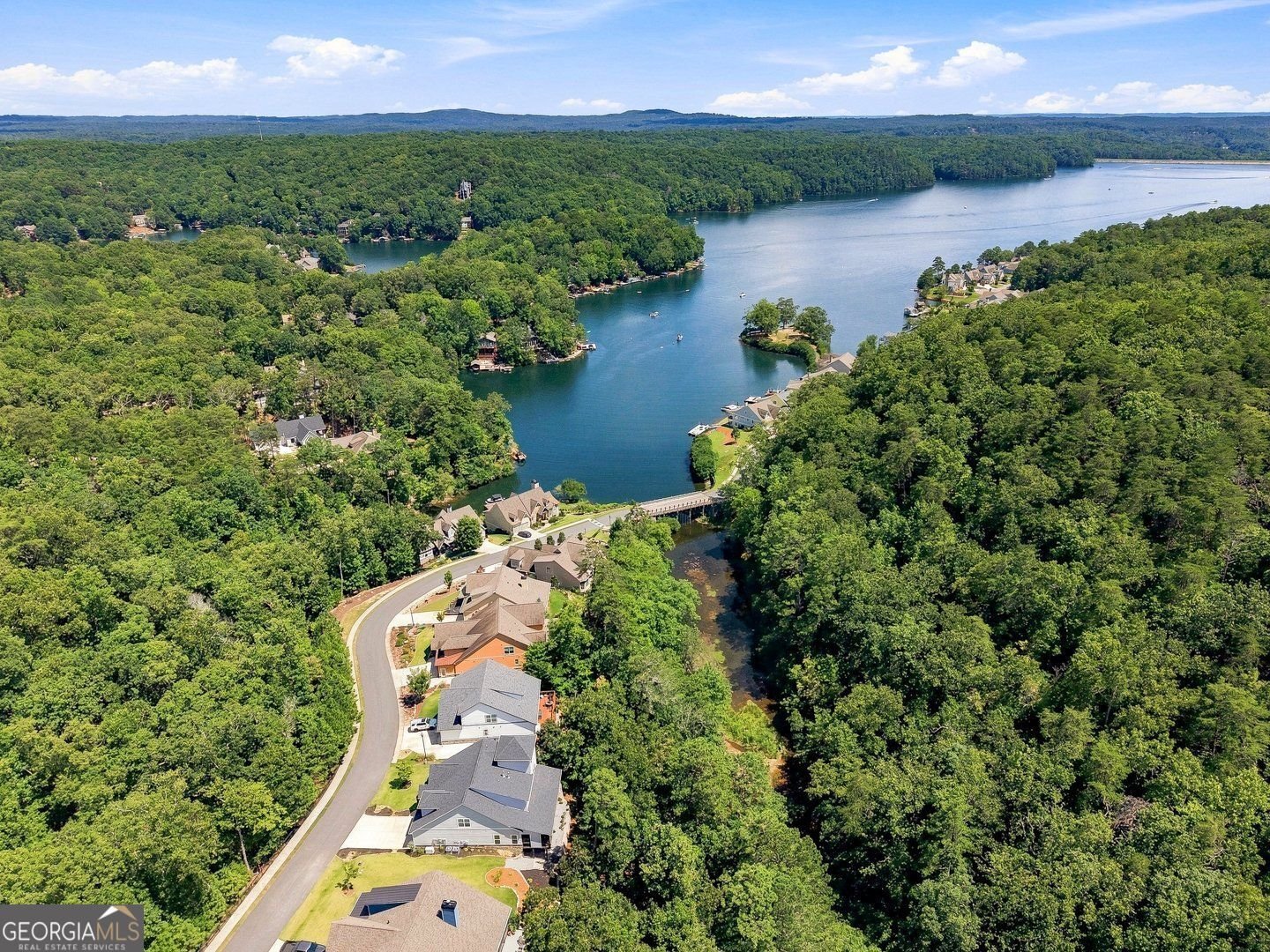 110 Sunset Peak Court Waleska - Photo 55