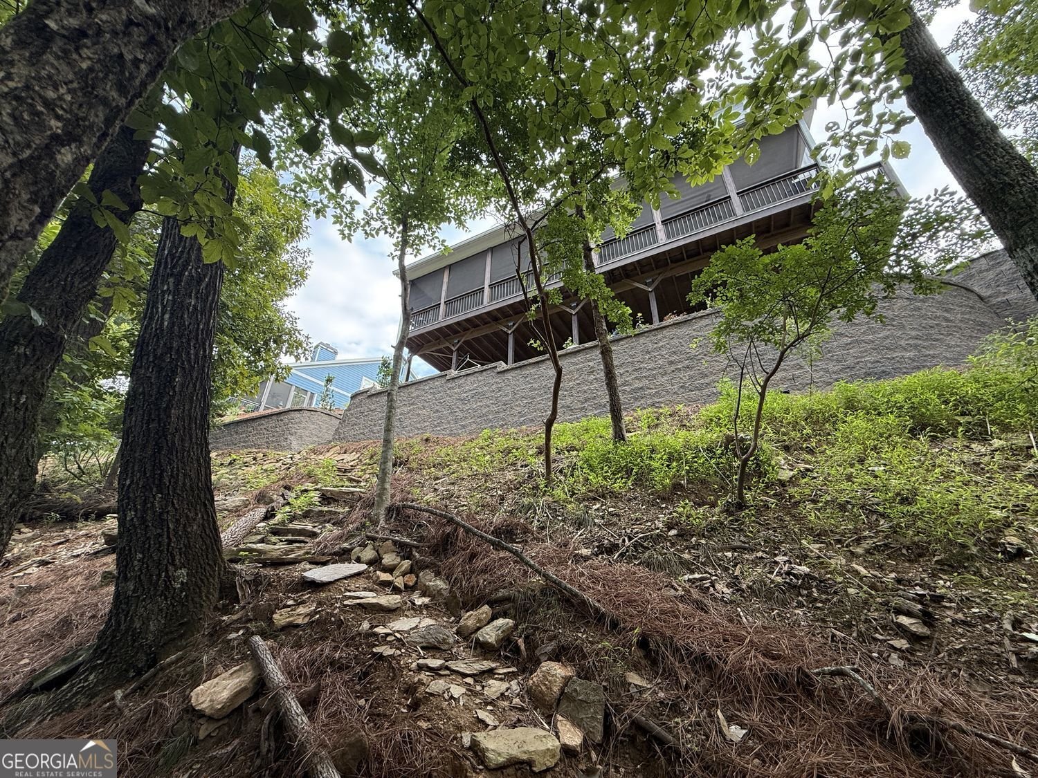 110 Sunset Peak Court Waleska - Photo 63