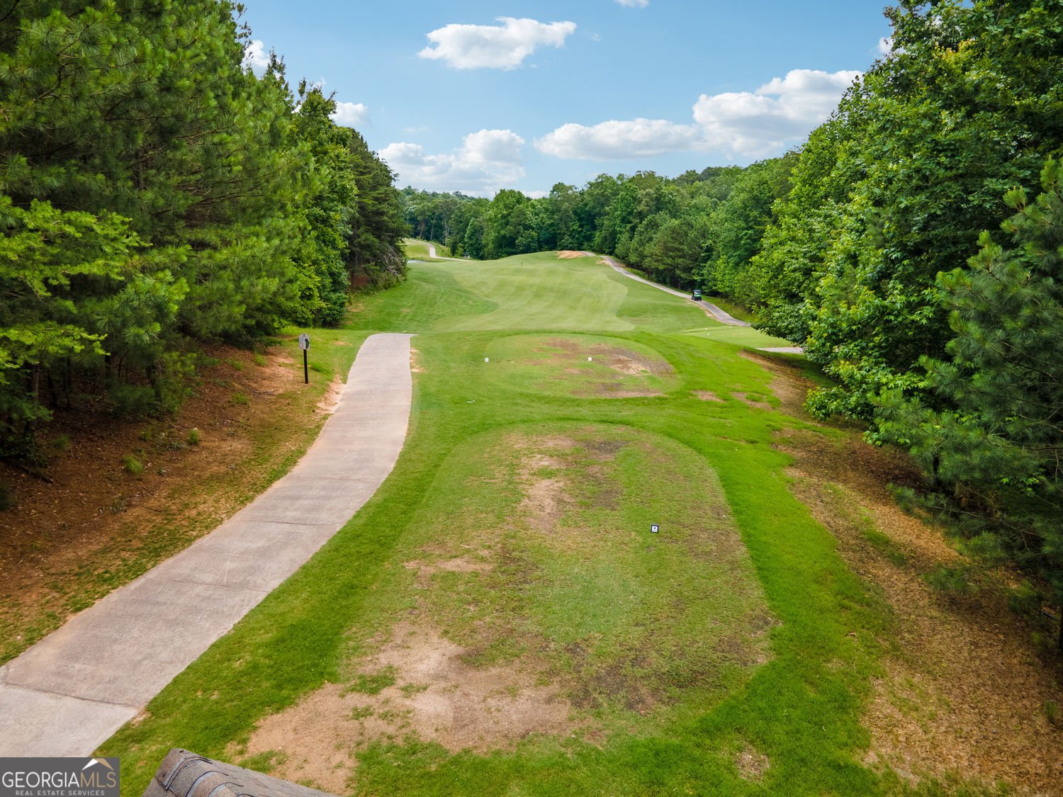 110 Sunset Peak Court Waleska - Photo 70
