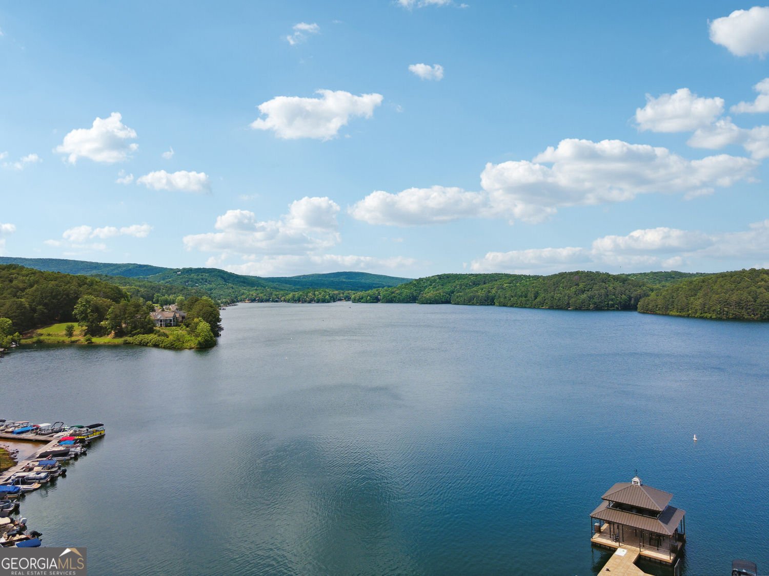110 Sunset Peak Court Waleska - Photo 81
