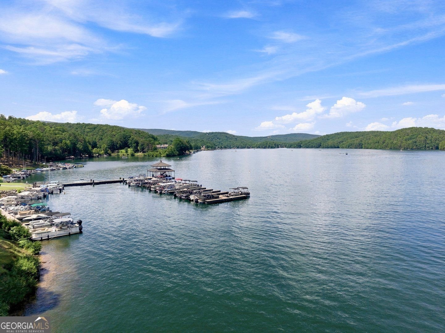 110 Sunset Peak Court Waleska - Photo 82