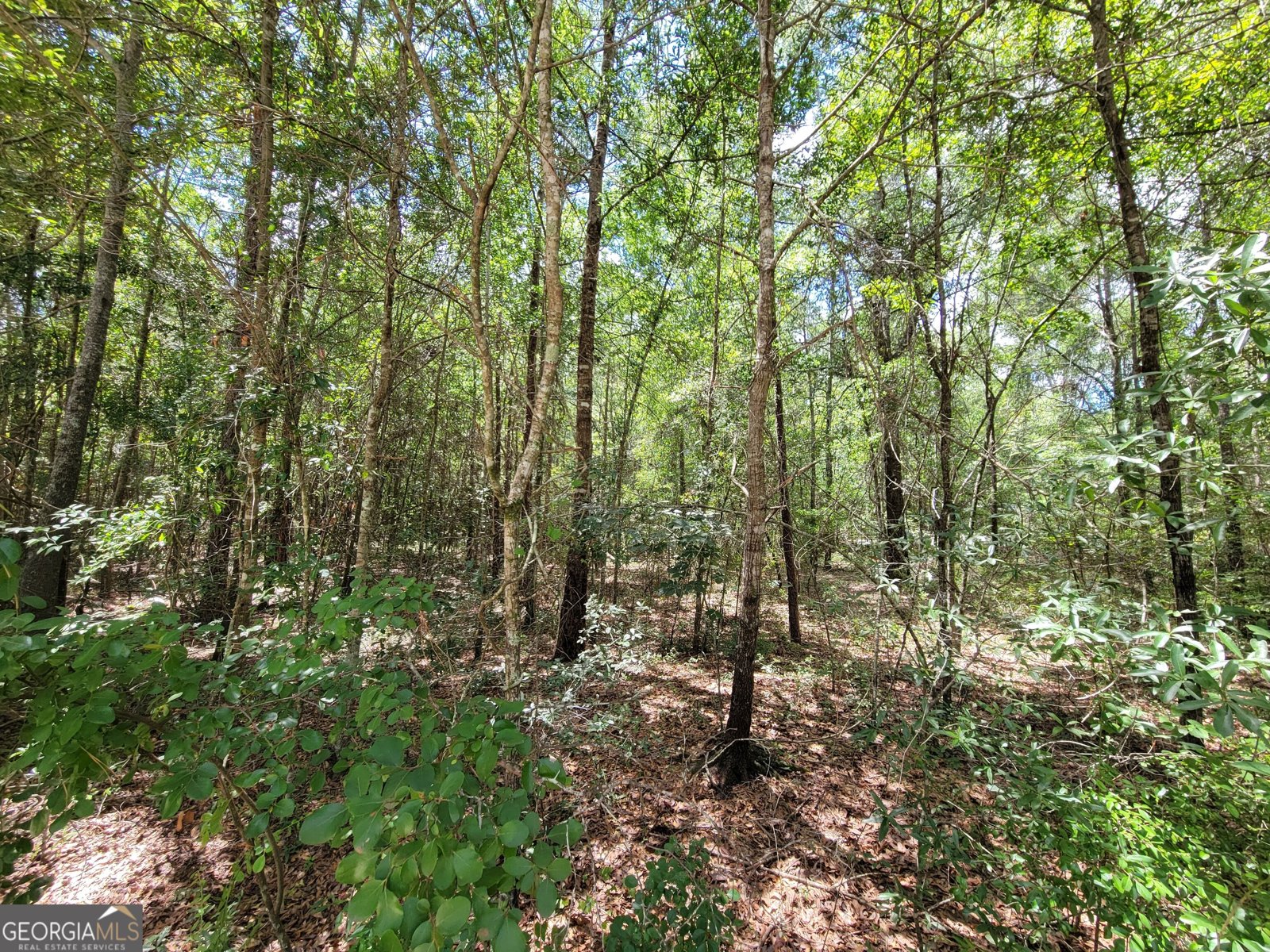 2604 River Bend Road Statesboro - Photo 14