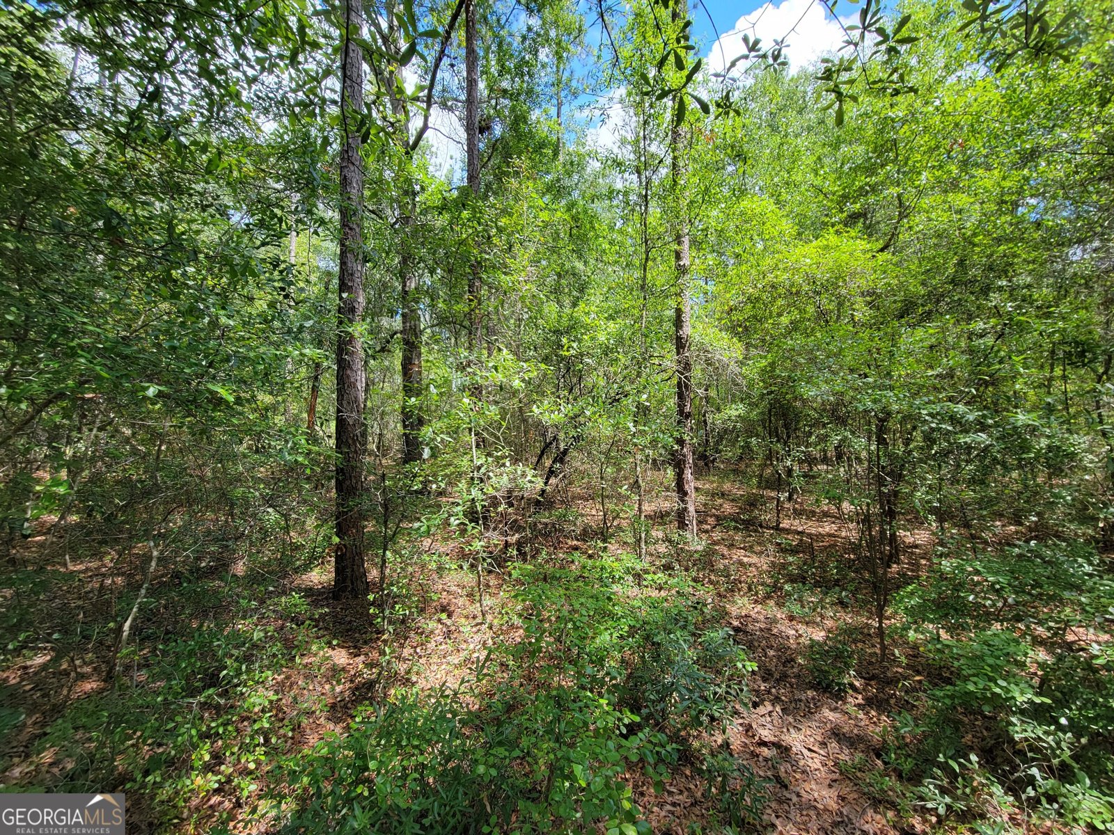 2604 River Bend Road Statesboro - Photo 15