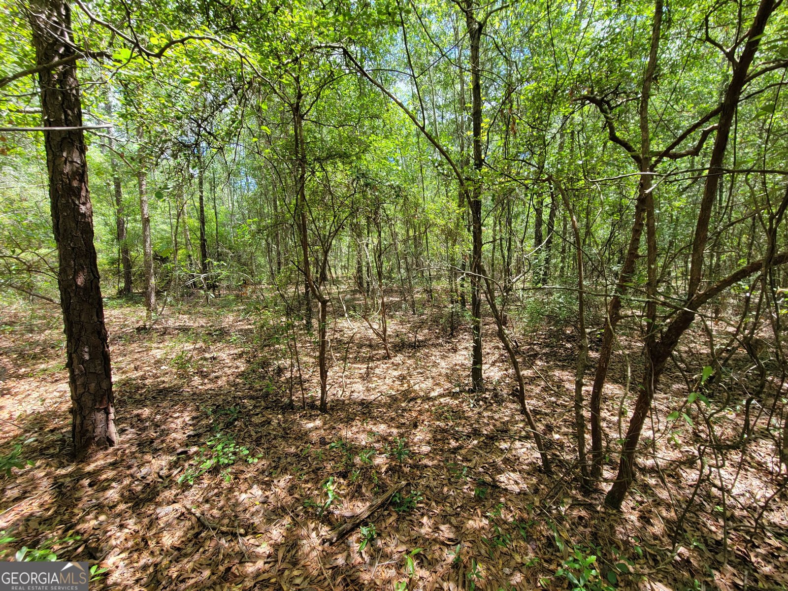2604 River Bend Road Statesboro - Photo 16