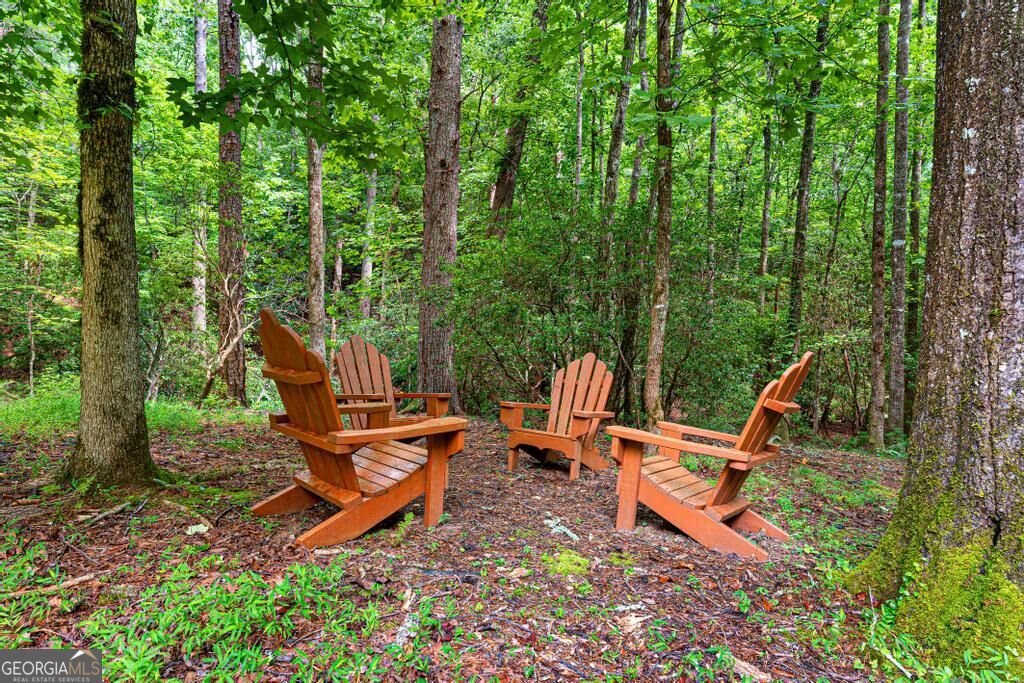 1361 Woodbrier Sautee Nacoochee - Photo 42