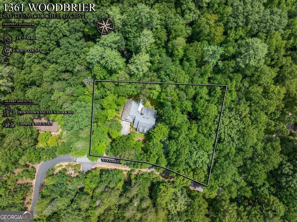 1361 Woodbrier Sautee Nacoochee - Photo 45