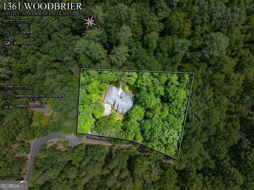 1361 Woodbrier Sautee Nacoochee - Photo 48