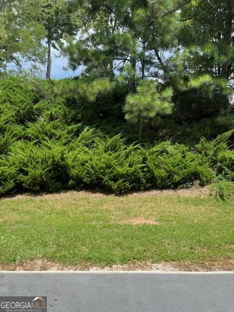 2537 Walden Lake Drive Decatur - Photo 12