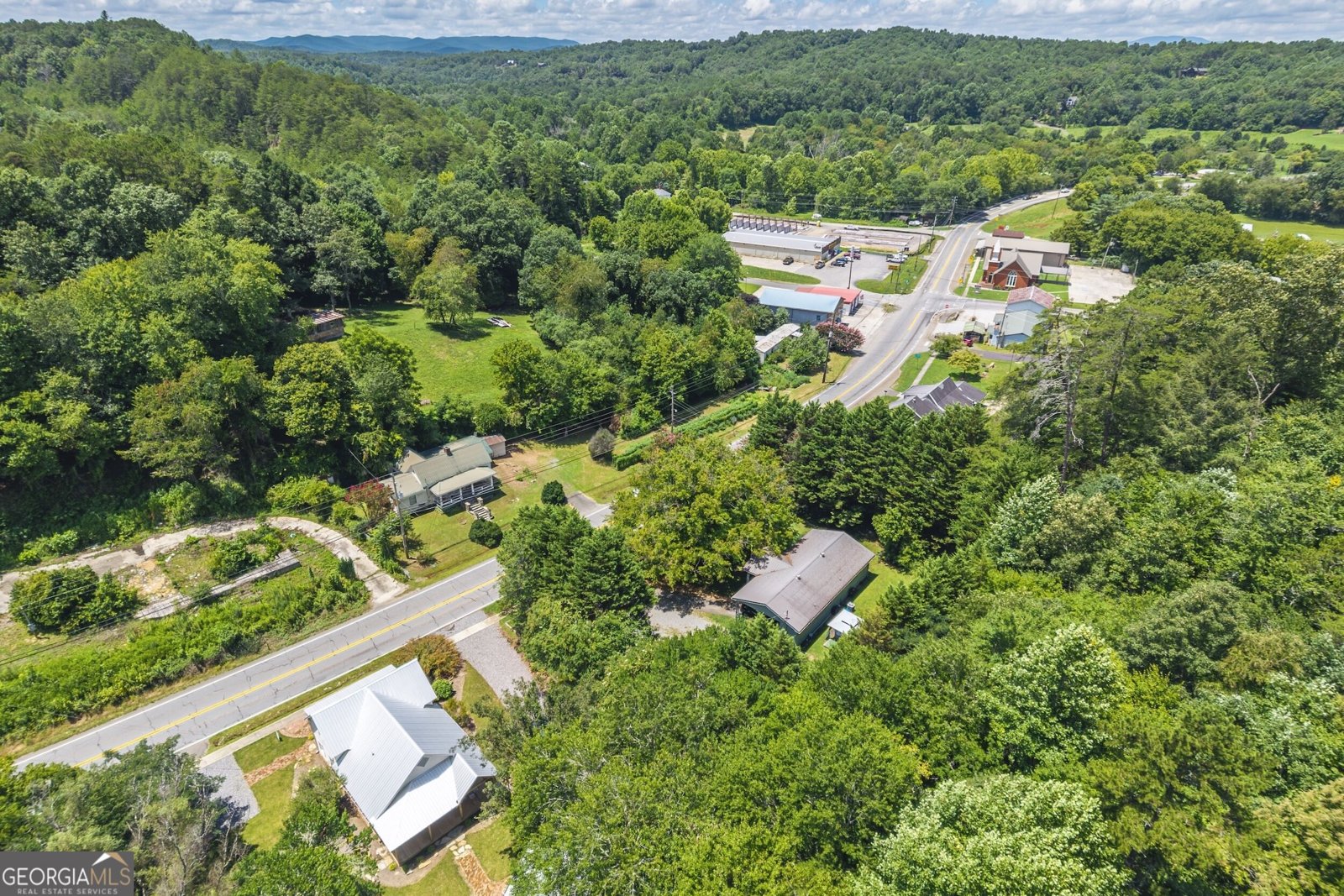 8679 Lakewood Highway Mineral Bluff - Photo 48