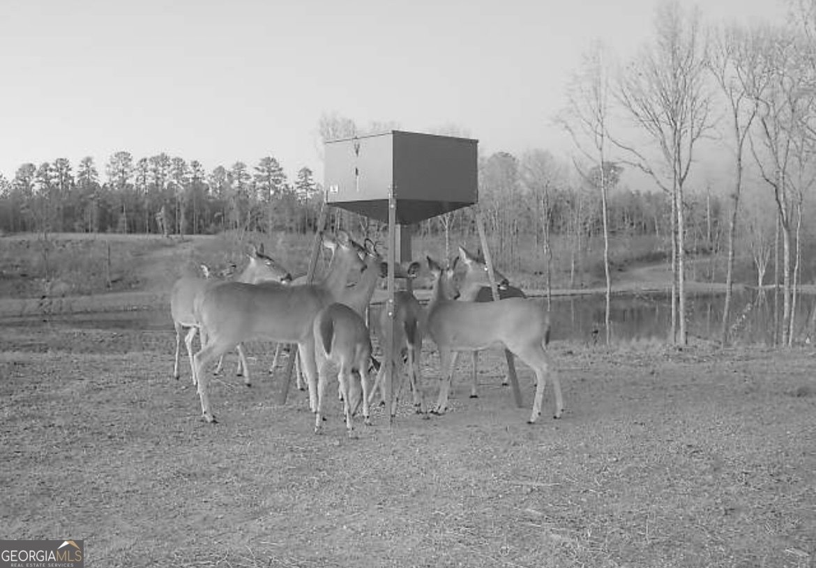 4348 Marshall Stewart Road Crawfordville - Photo 57