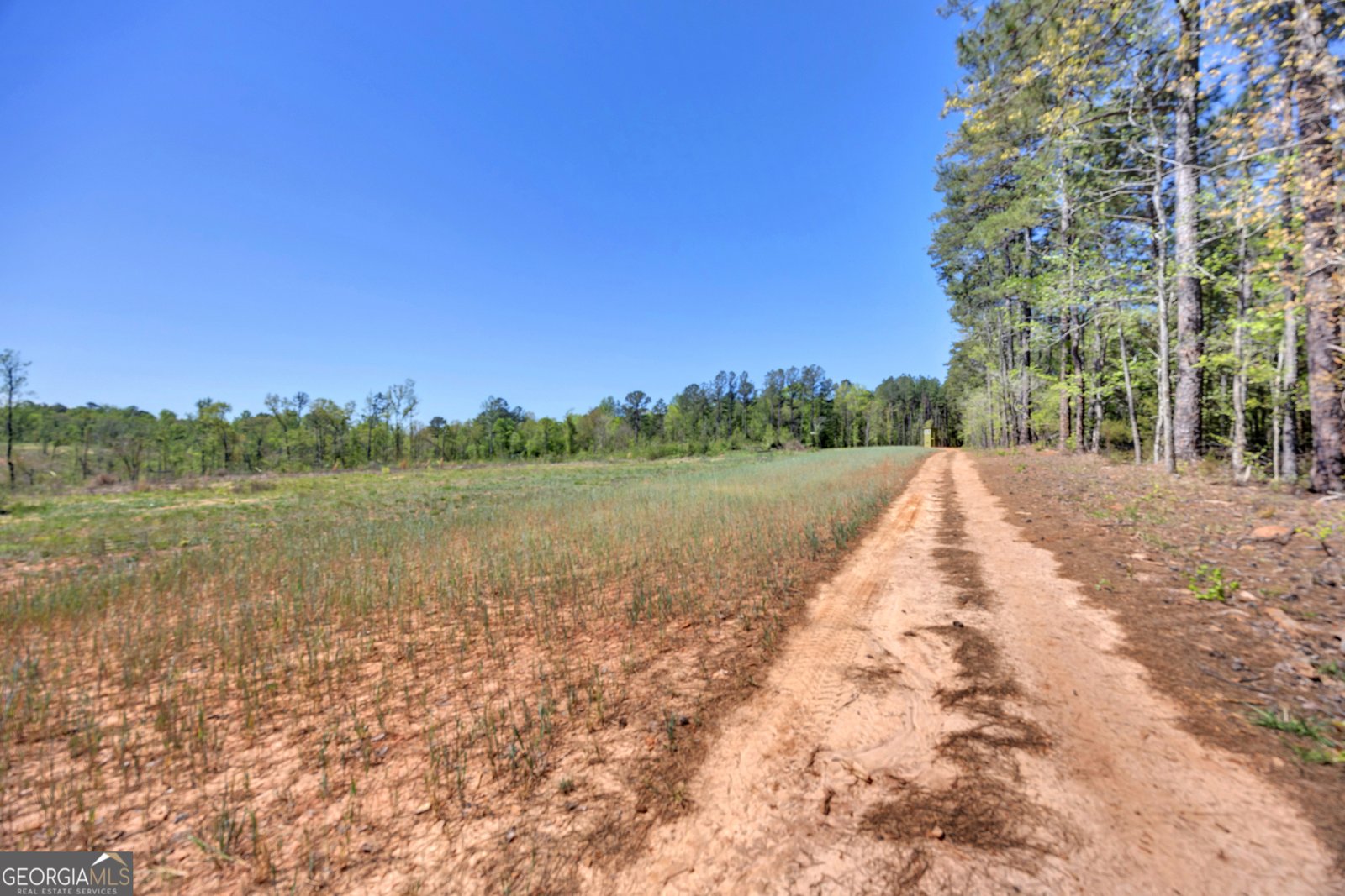 4348 Marshall Stewart Road Crawfordville - Photo 62