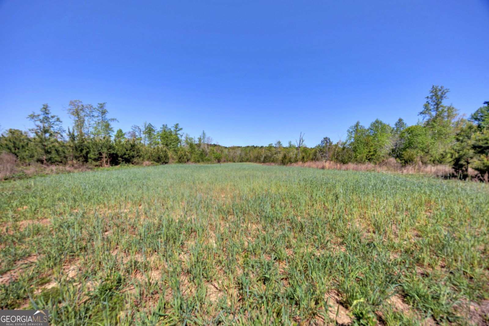 4348 Marshall Stewart Road Crawfordville - Photo 63