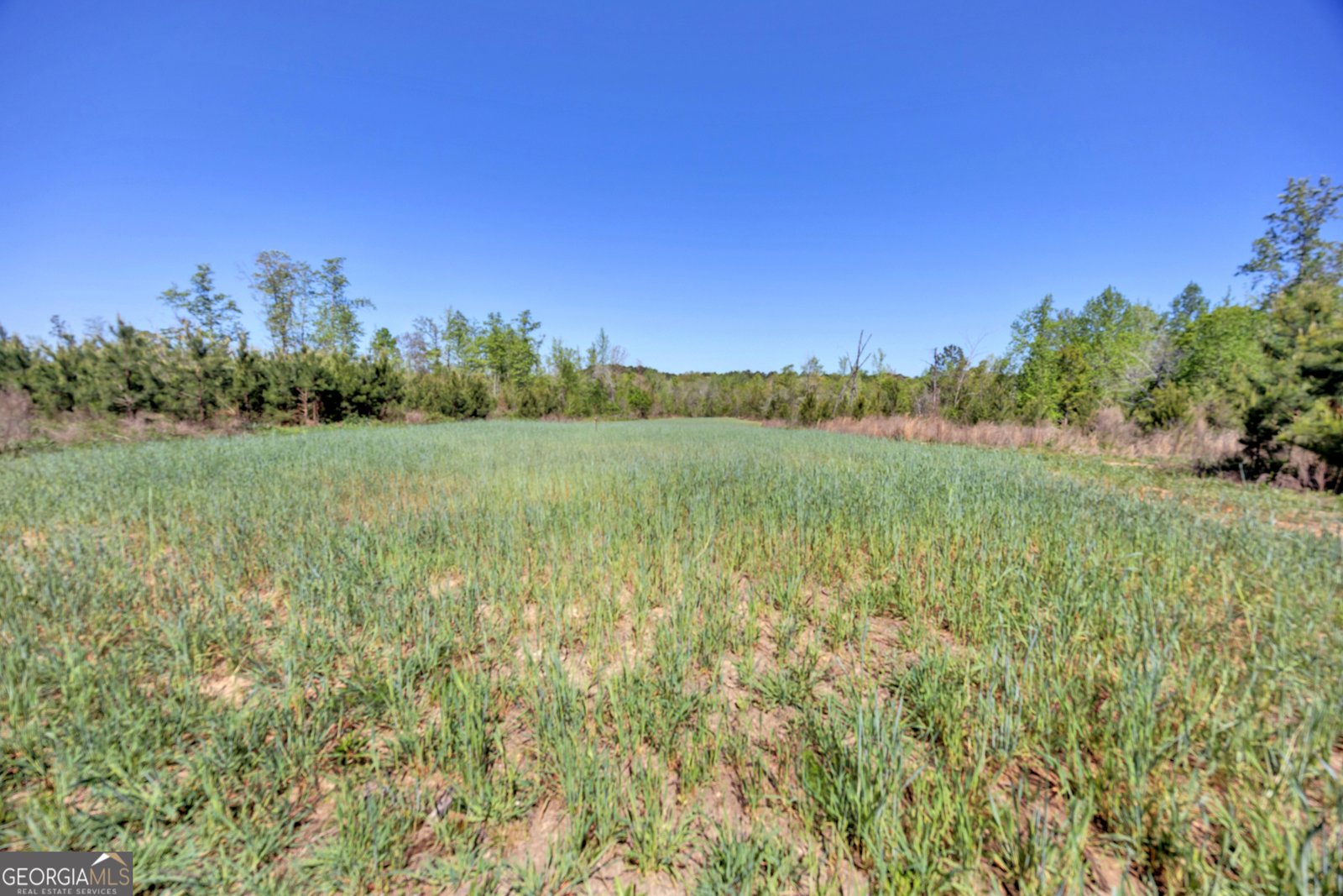 4348 Marshall Stewart Road Crawfordville - Photo 65
