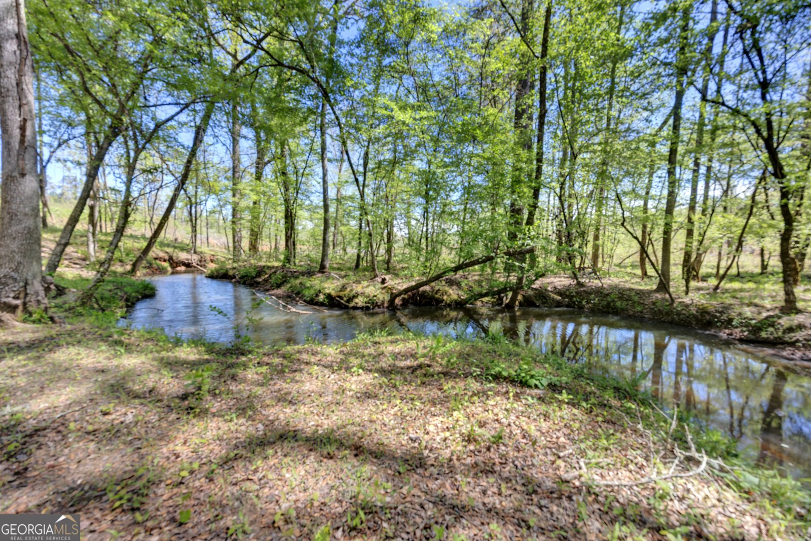 4348 Marshall Stewart Road Crawfordville - Photo 67
