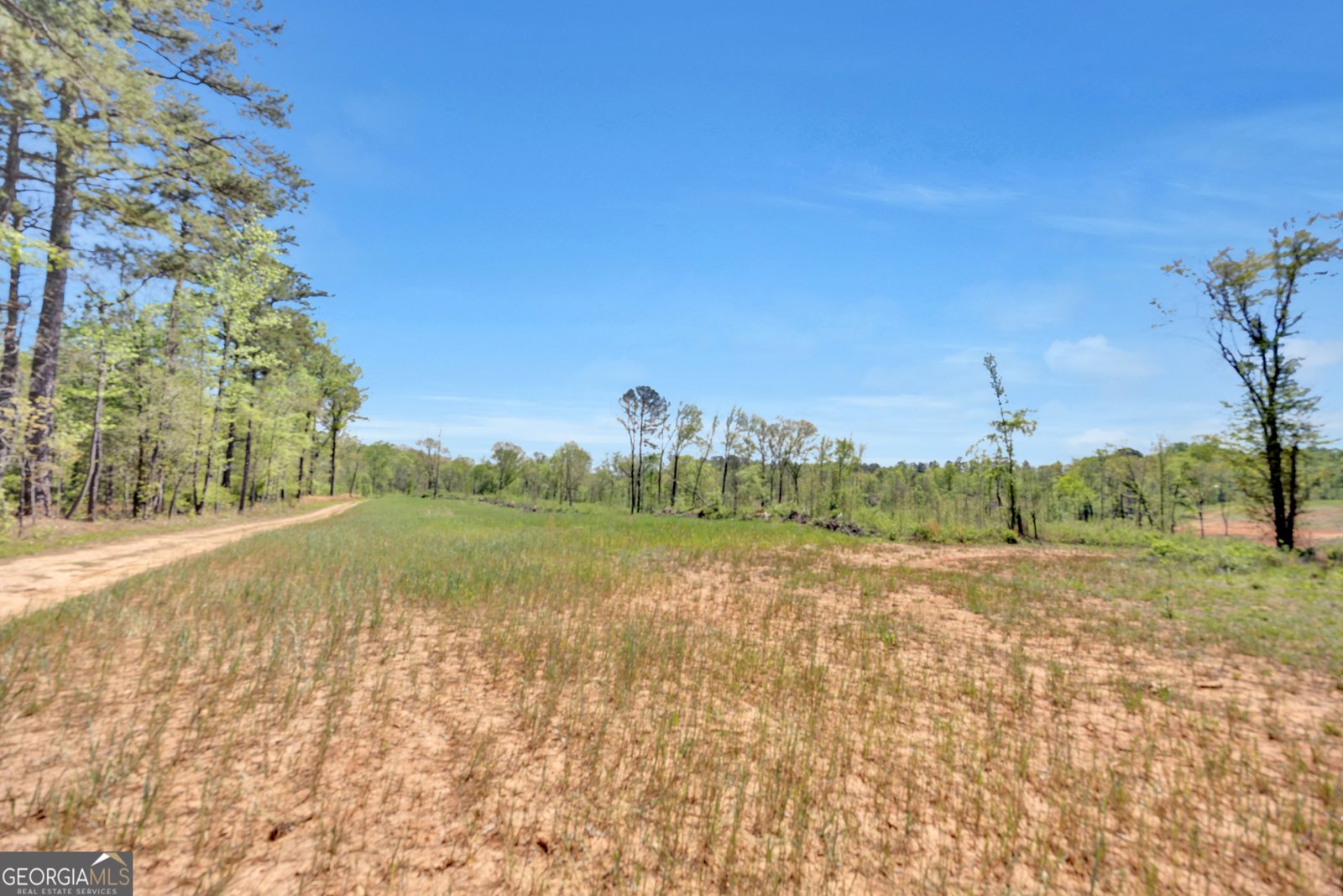 4348 Marshall Stewart Road Crawfordville - Photo 70