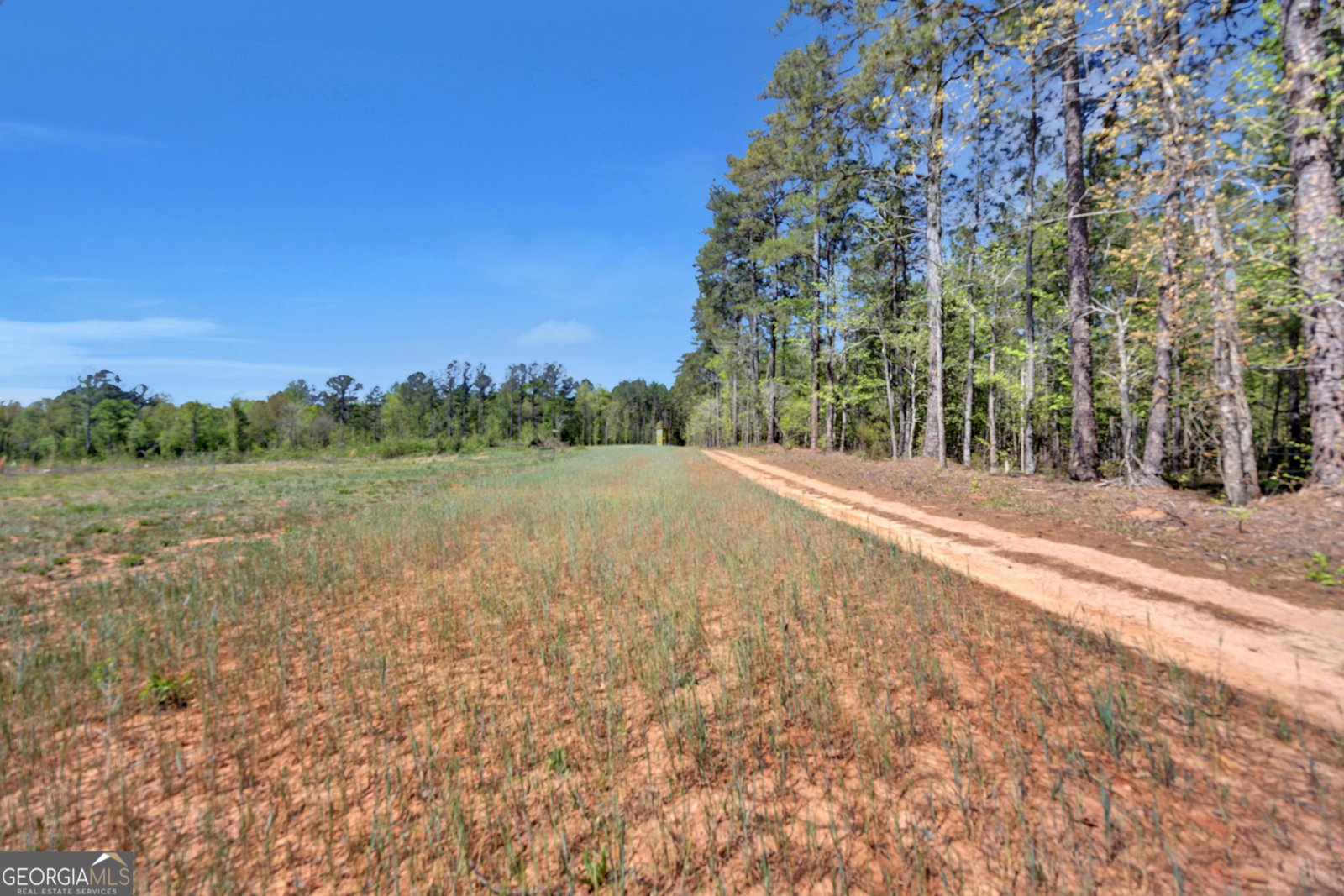 4348 Marshall Stewart Road Crawfordville - Photo 71