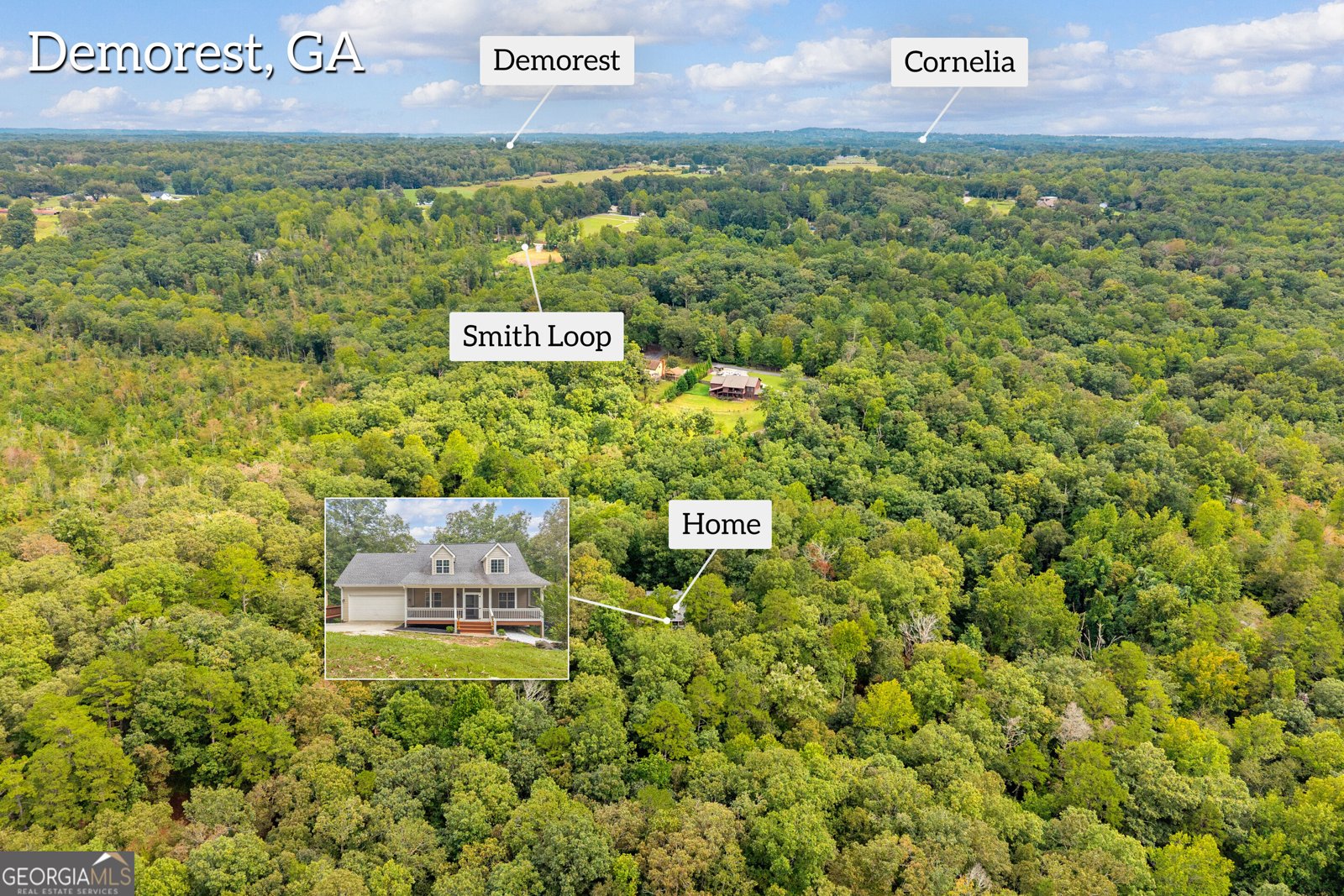 256 Cross Creek Trail Demorest - Photo 53
