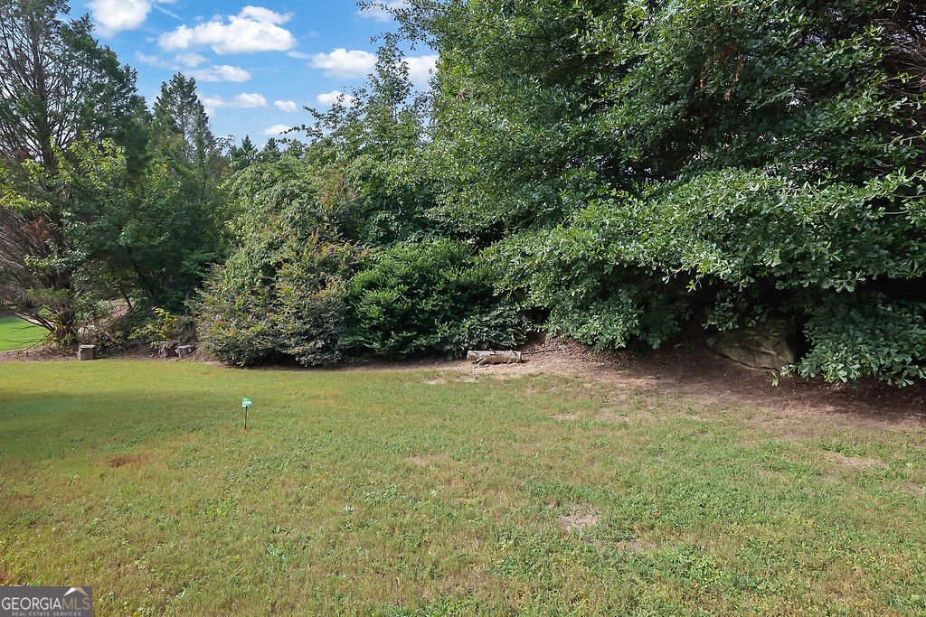 2977 Cadbury Court Snellville - Photo 44