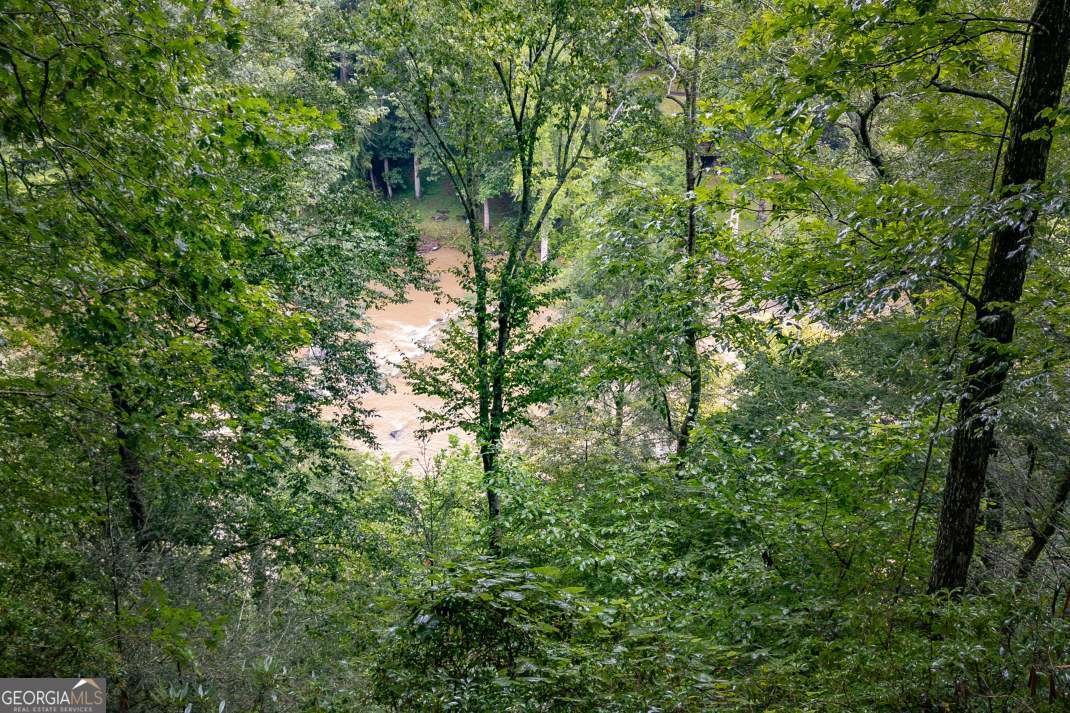 795 Fugue Drive Ellijay - Photo 15