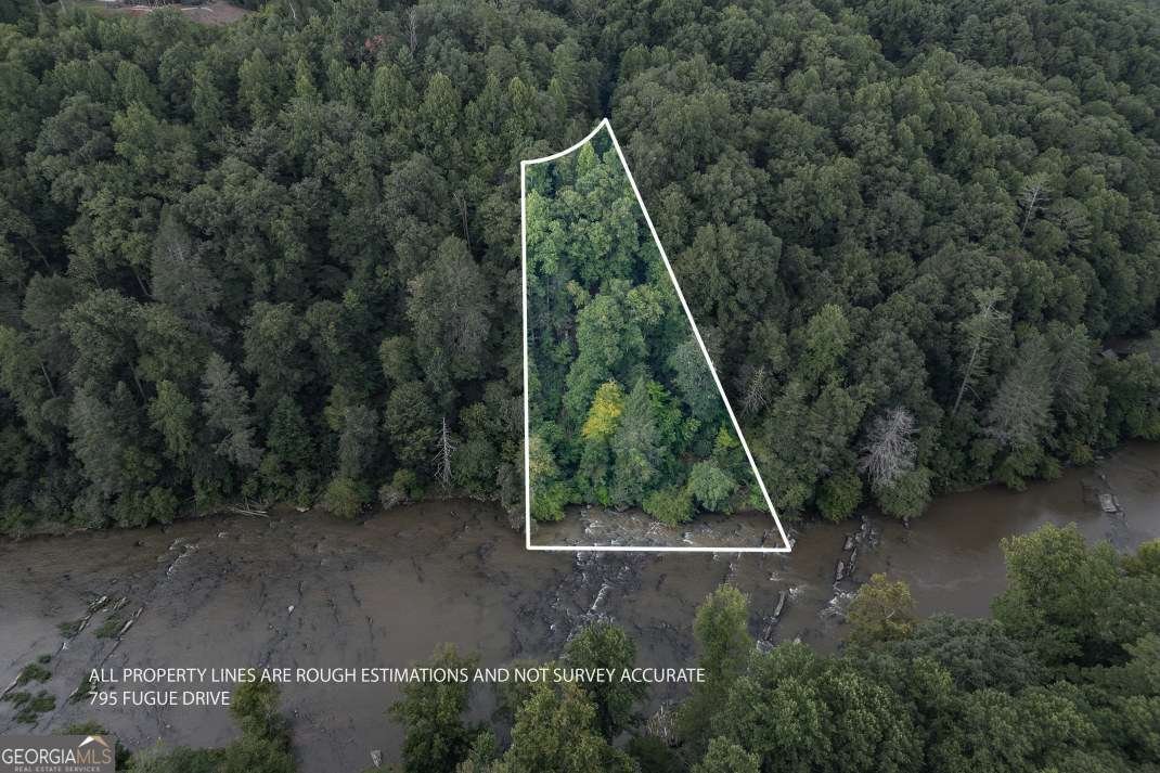 795 Fugue Drive Ellijay - Photo 19