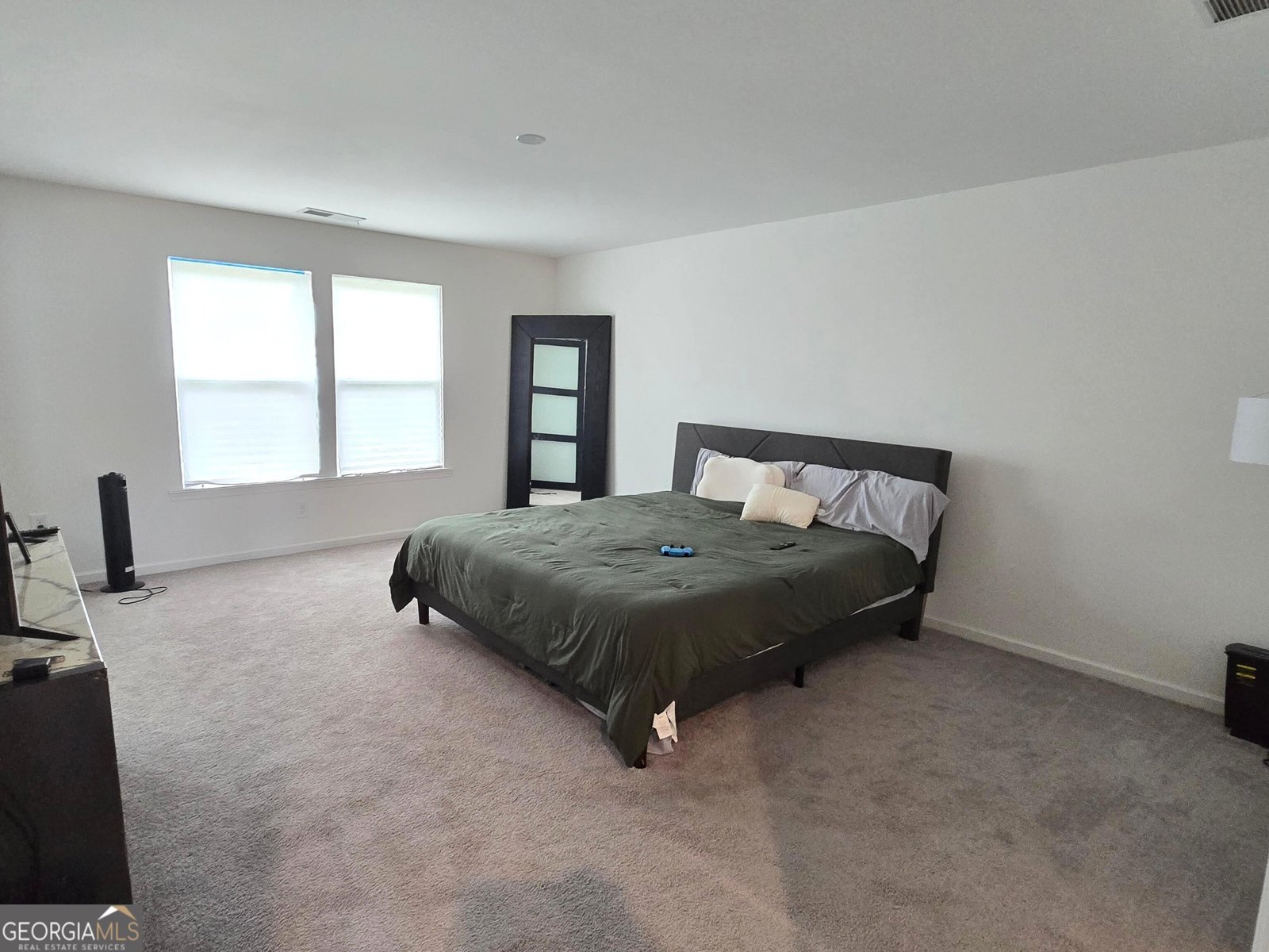 166 Traminer Way Braselton - Photo 21