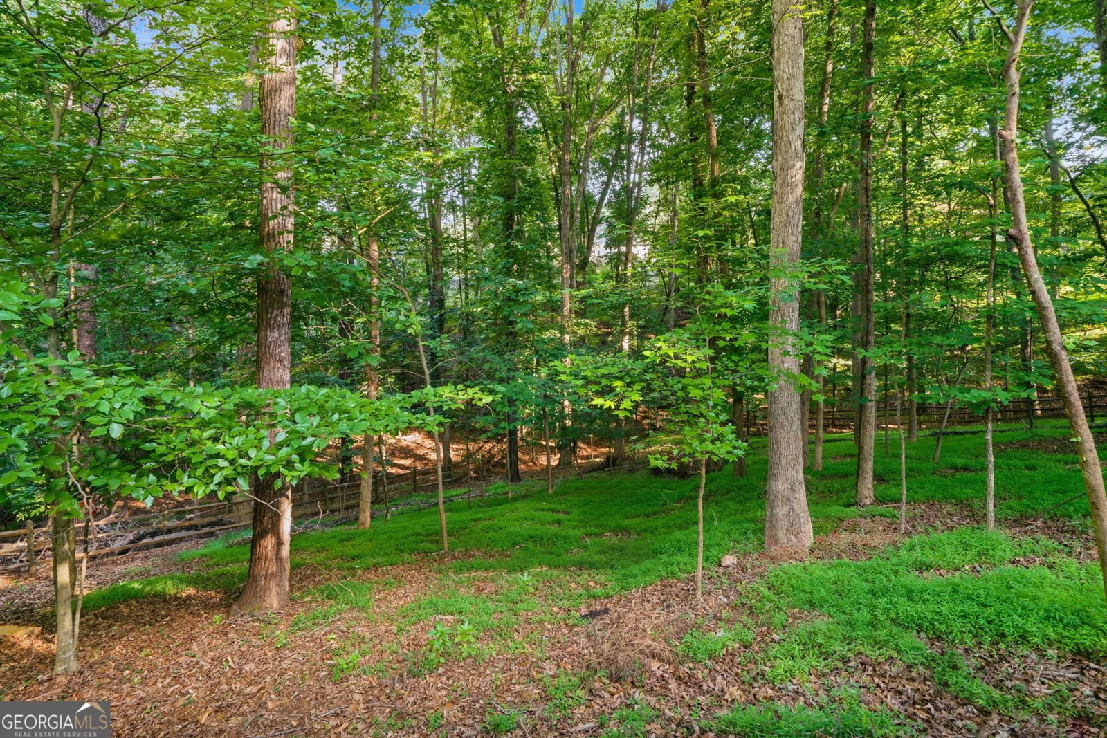 406 Lovinggood Landing Drive Woodstock - Photo 68