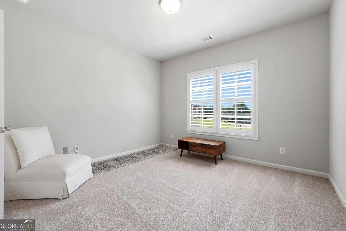 2442 Sunflower Drive Hoschton - Photo 33