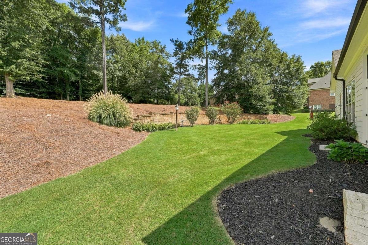 2442 Sunflower Drive Hoschton - Photo 38