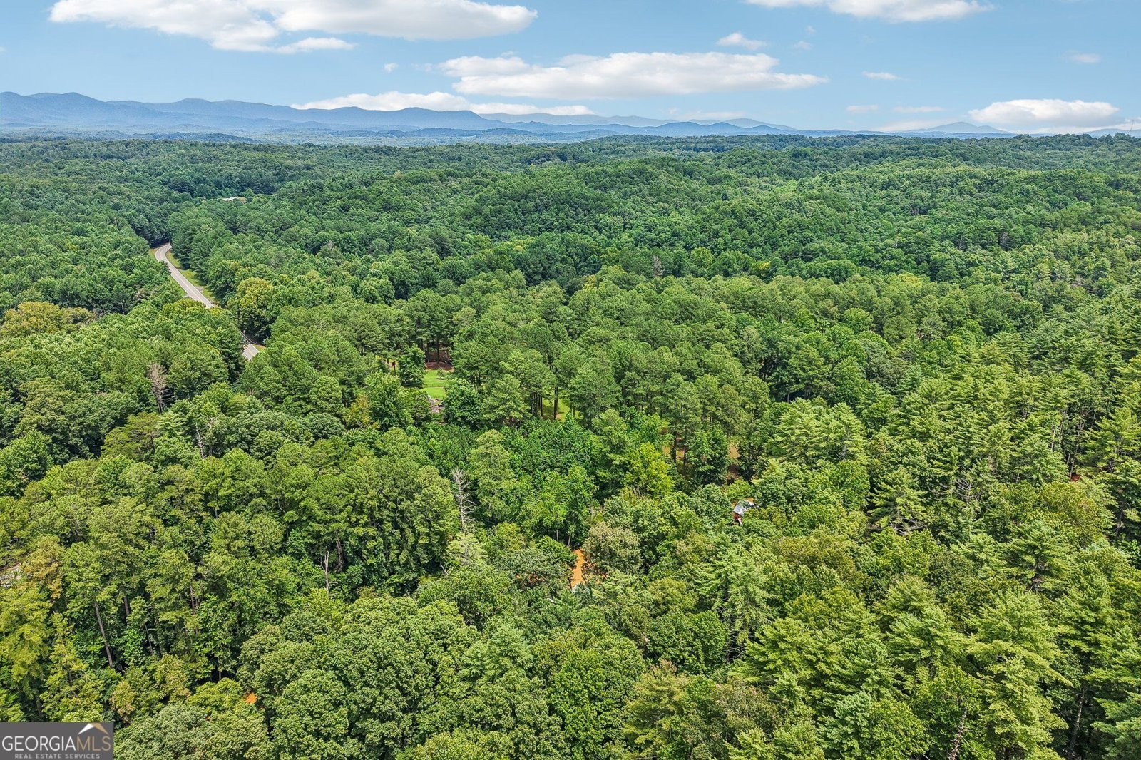 152 River Drive Dahlonega - Photo 44