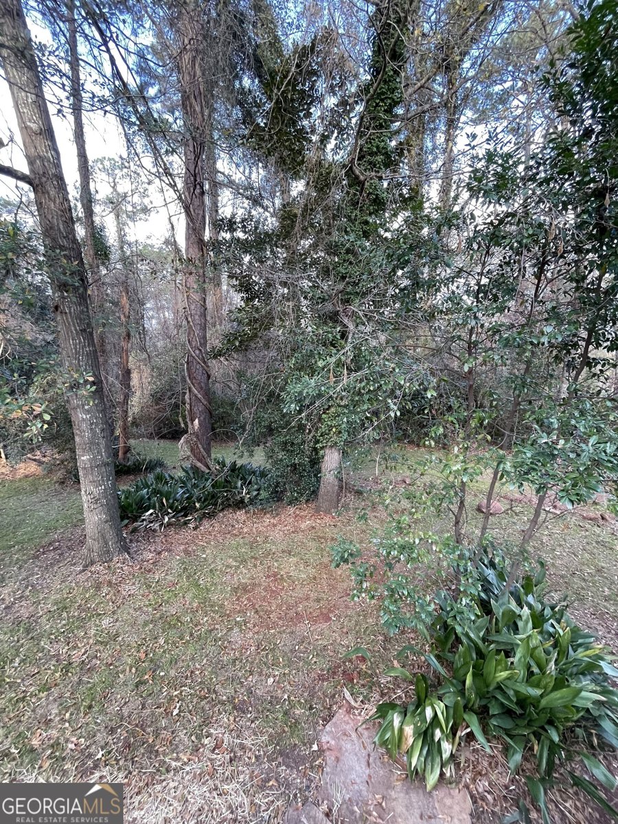 408 Thurston Avenue Thomaston - Photo 35