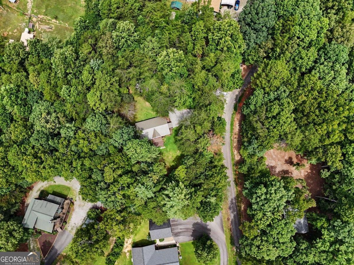 85 Popular Drive Blairsville - Photo 19