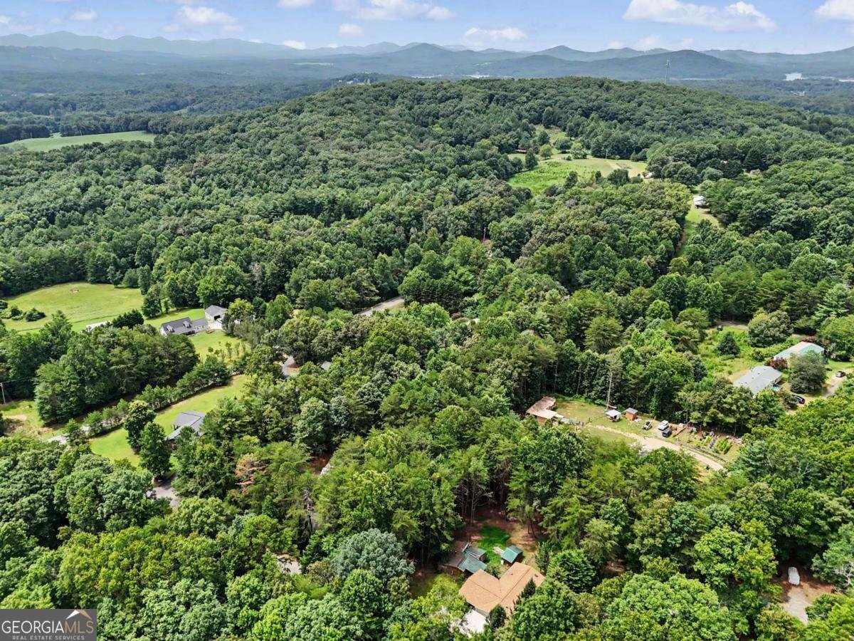 85 Popular Drive Blairsville - Photo 21