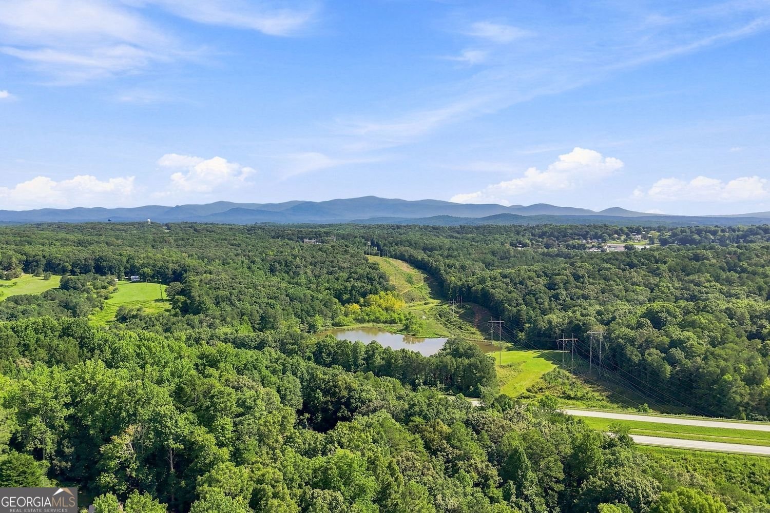 694 Fairview Road Ball Ground - Photo 45
