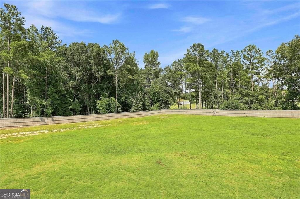 155 Estancia Lane Fayetteville - Photo 44